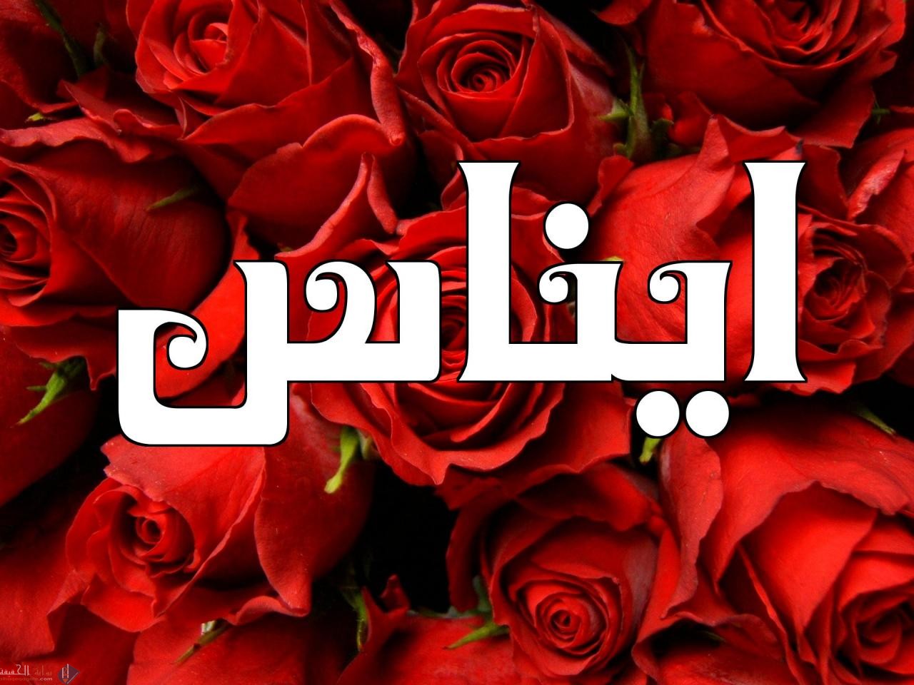 معنى اسم إيناس