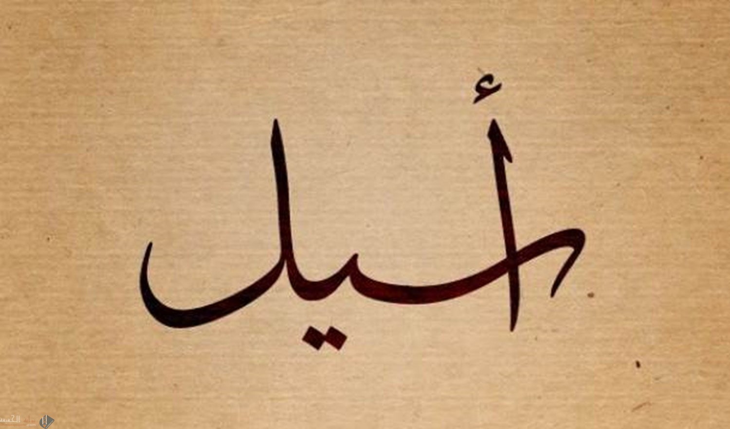 معنى اسم أسيل Aseel في القرآن وصفات حاملات الاسم
