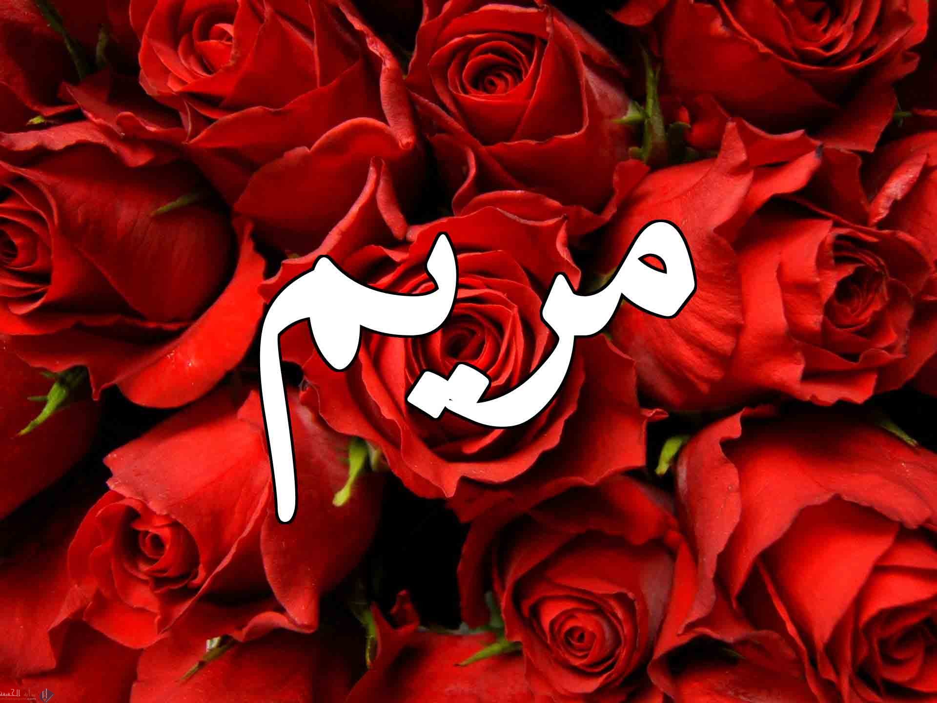 معنى اسم مريم بجميع اللغات