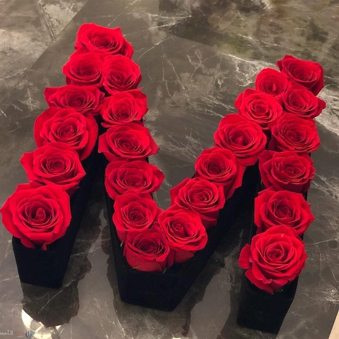 معنى اسم ميس