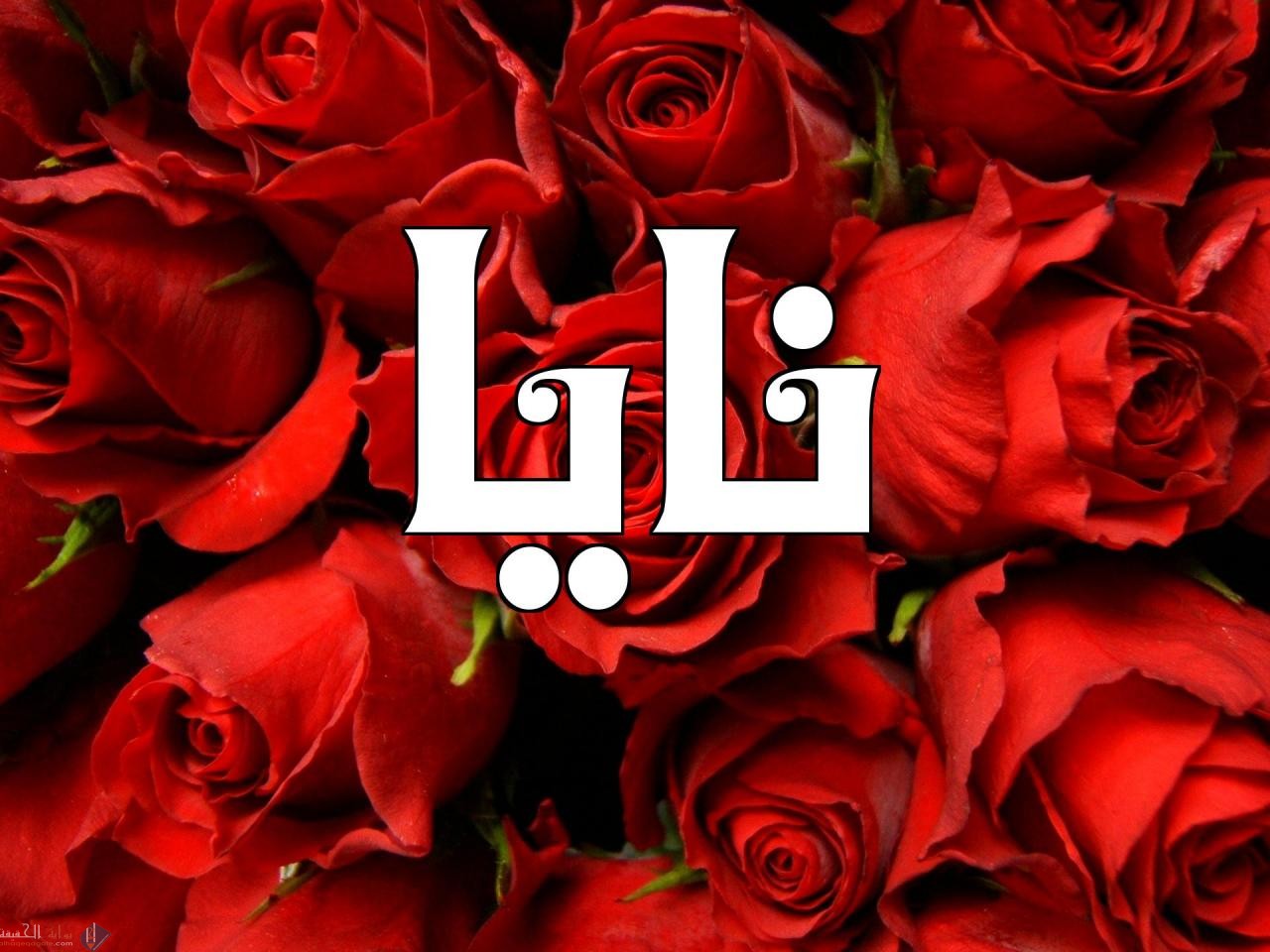 ما معنى اسم نايا
