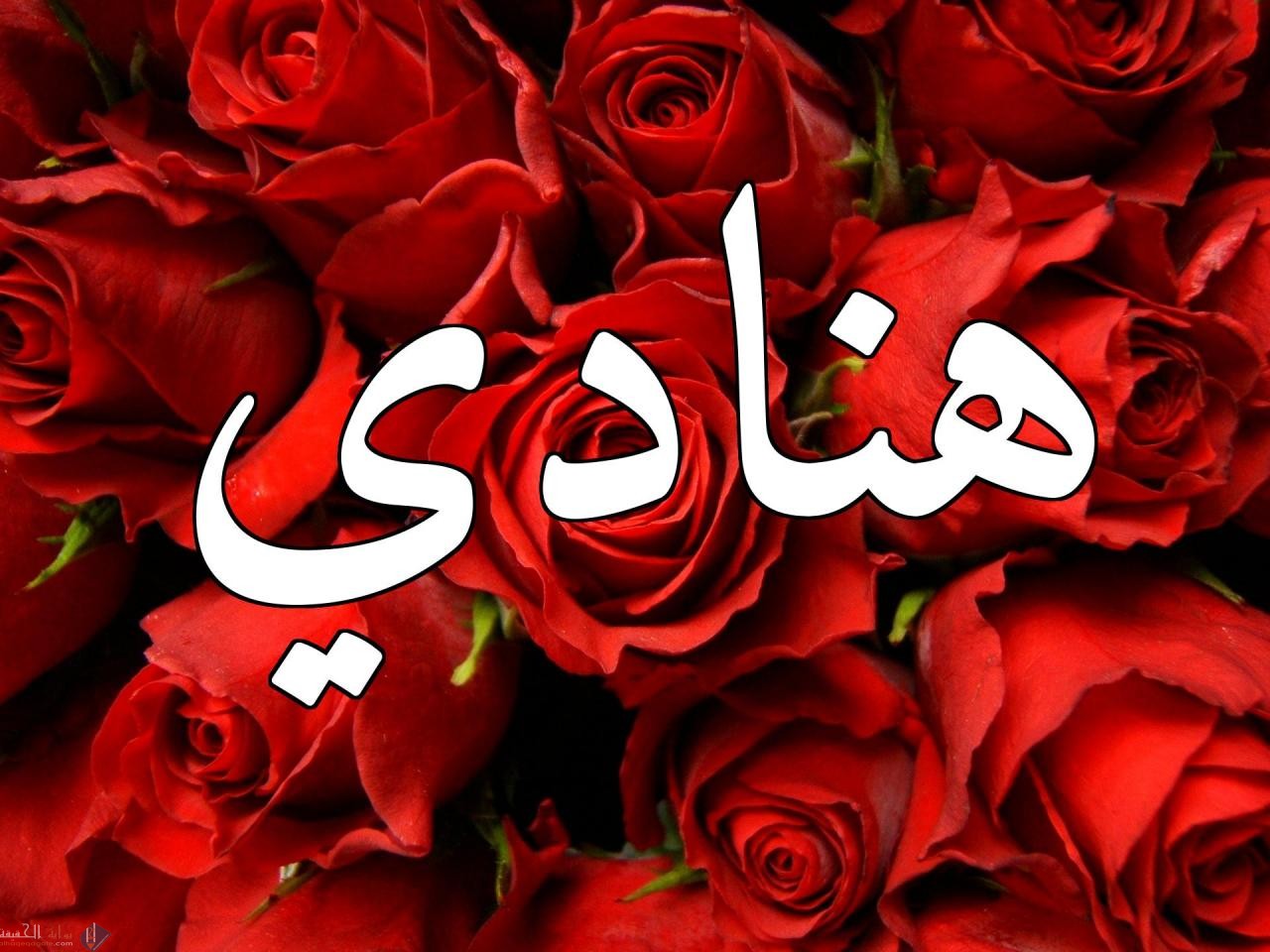 ما معنى اسم هنادي