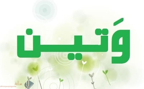 معنى اسم وتين وحكم تسميته في الإسلام