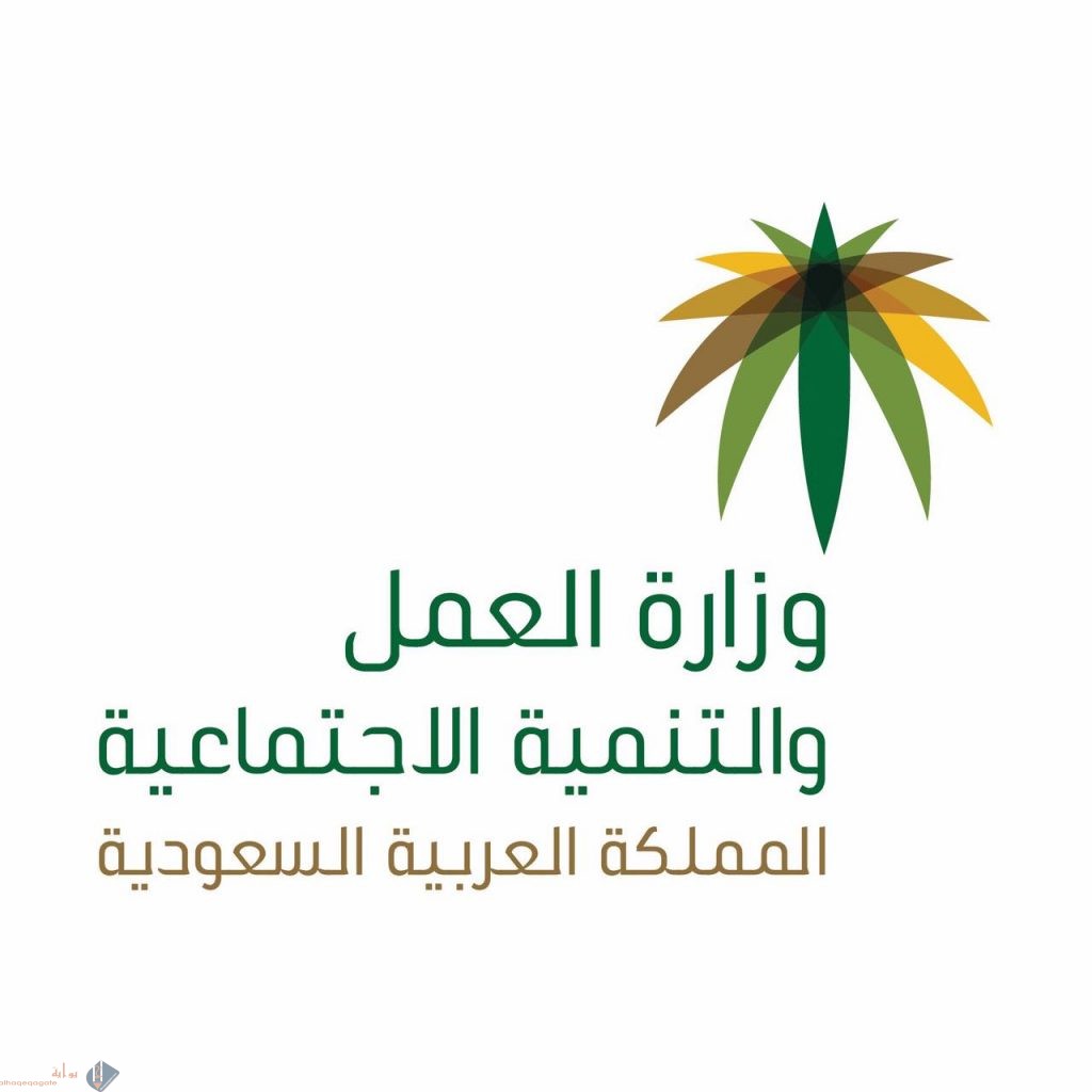 نطاق المؤسسة