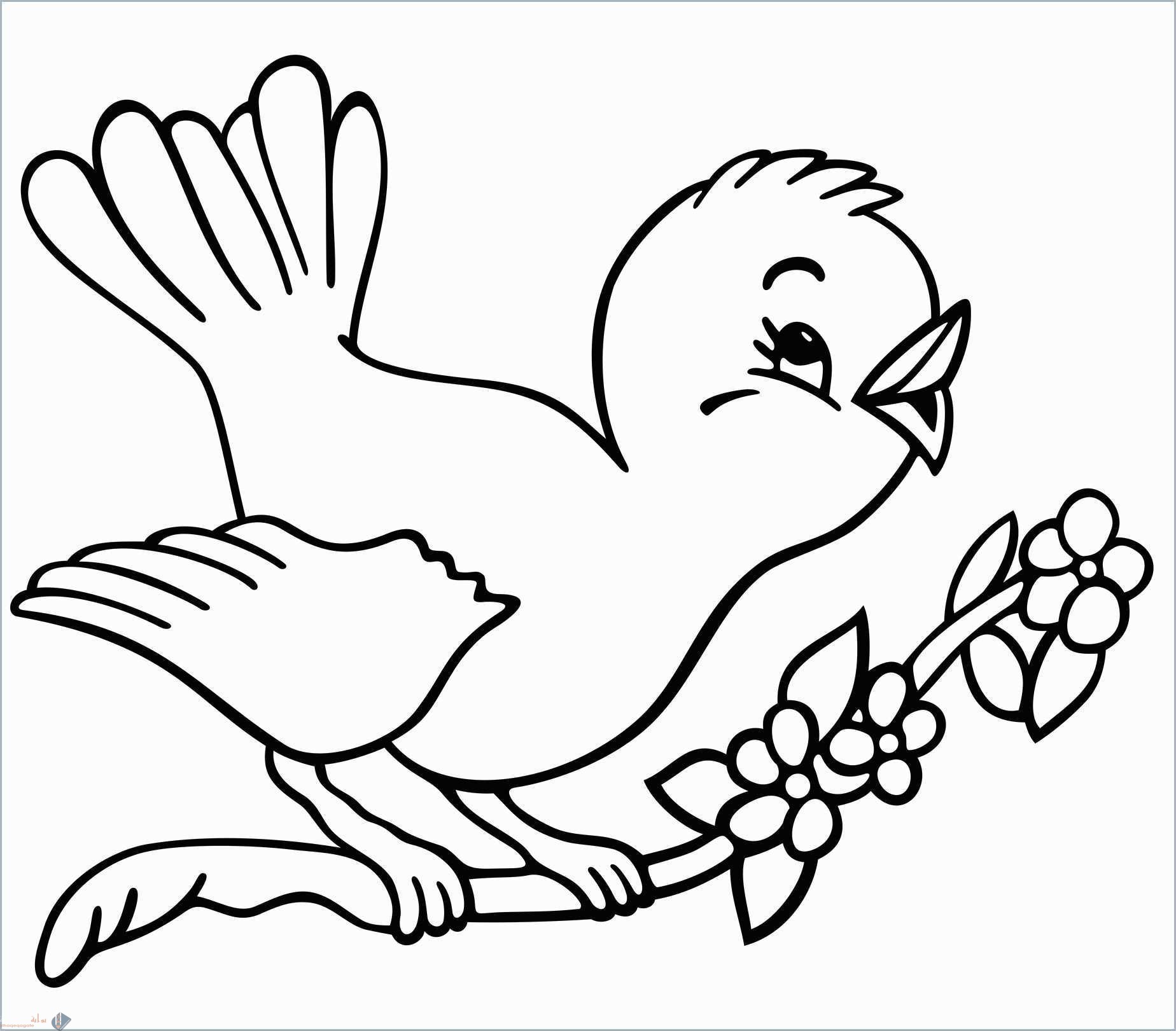 رسومات تلوين أطفال