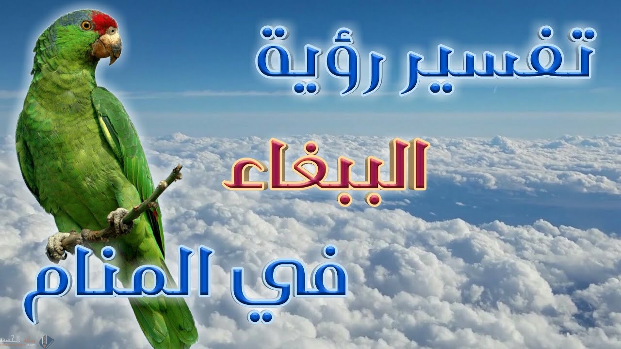 تفسير حلم الببغاء في قفص