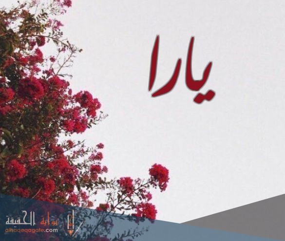 معنى اسم يارا وصفاتها