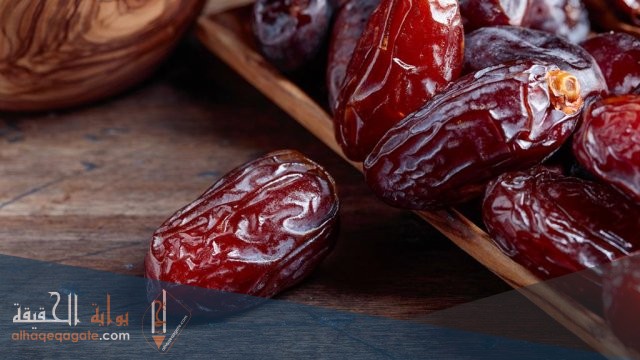 أفضل أنواع التمور في السعودية