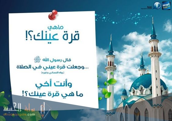 الرد على قرة عينك