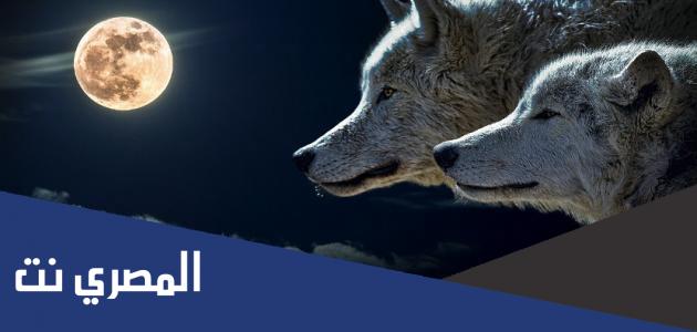 أجمل حكمة في التاريخ وحكم خلدها التاريخ
