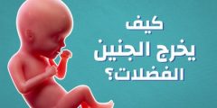 أين تذهب فضلات الجنين أثناء الحمل؟
