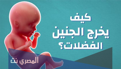 أين تذهب فضلات الجنين أثناء الحمل