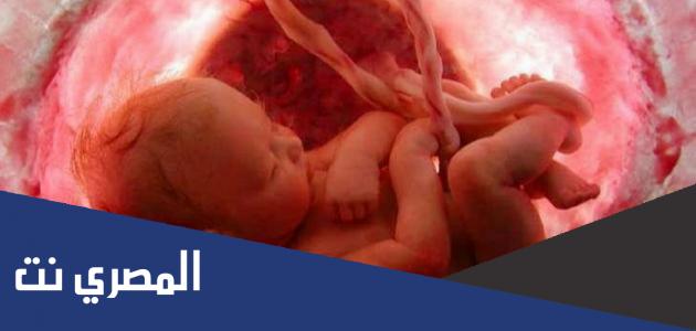 كم وزن الجنين من بداية الشهر السابع