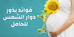 فوائد بذور دوار الشمس للحامل