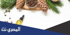 ما هى فوائد زيت الصنوبر للبشرة و الجسم