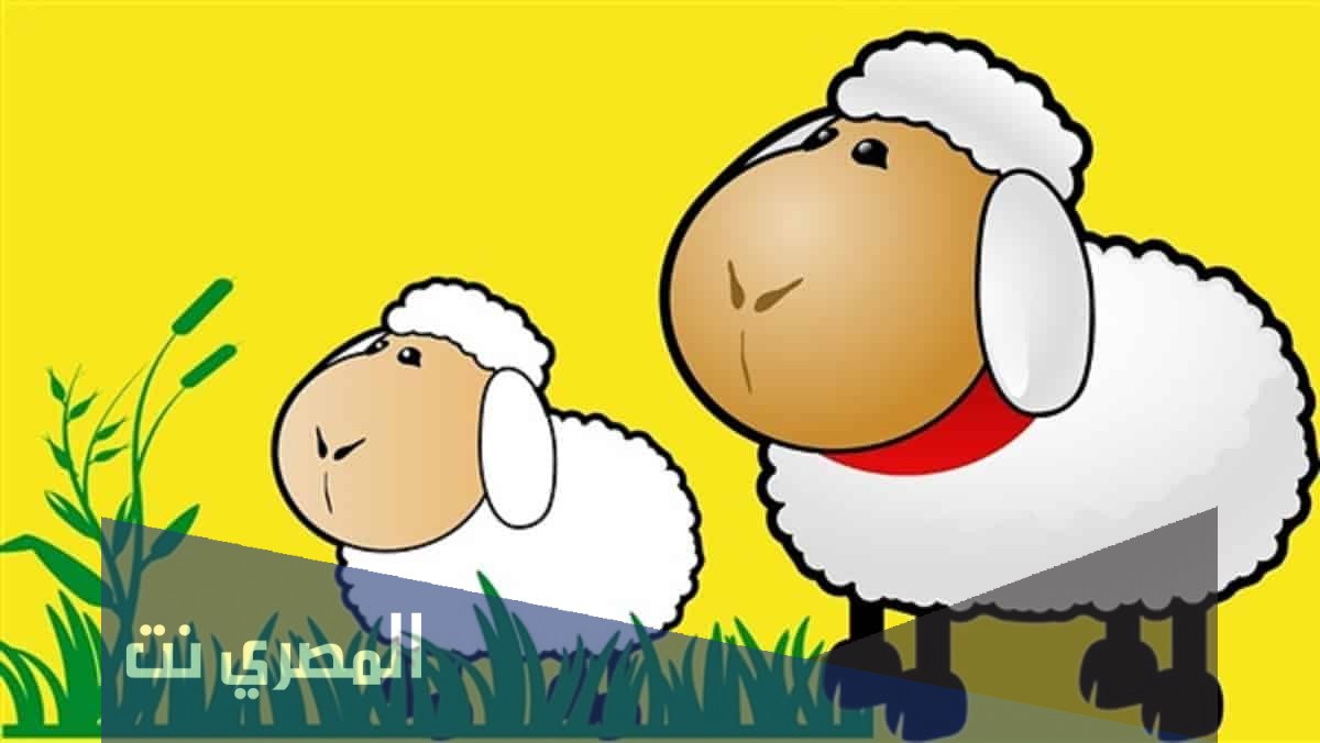 كم باقي على العيد الأضحى 2021 العد التنازلي