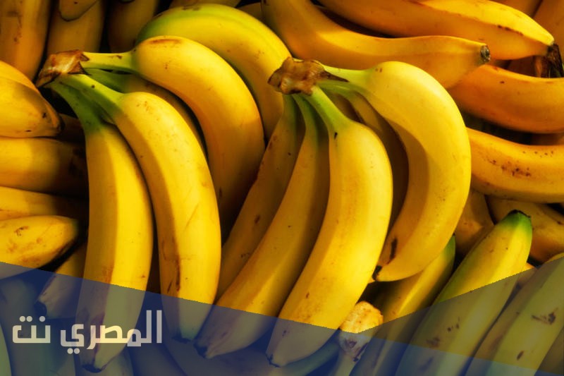 حقيقة منع الموز في كوريا الشماليه
