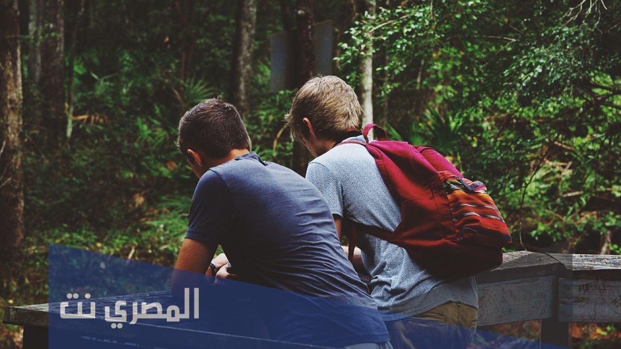 أجمل كلمات وعبارات عن الأصدقاء والأحباب