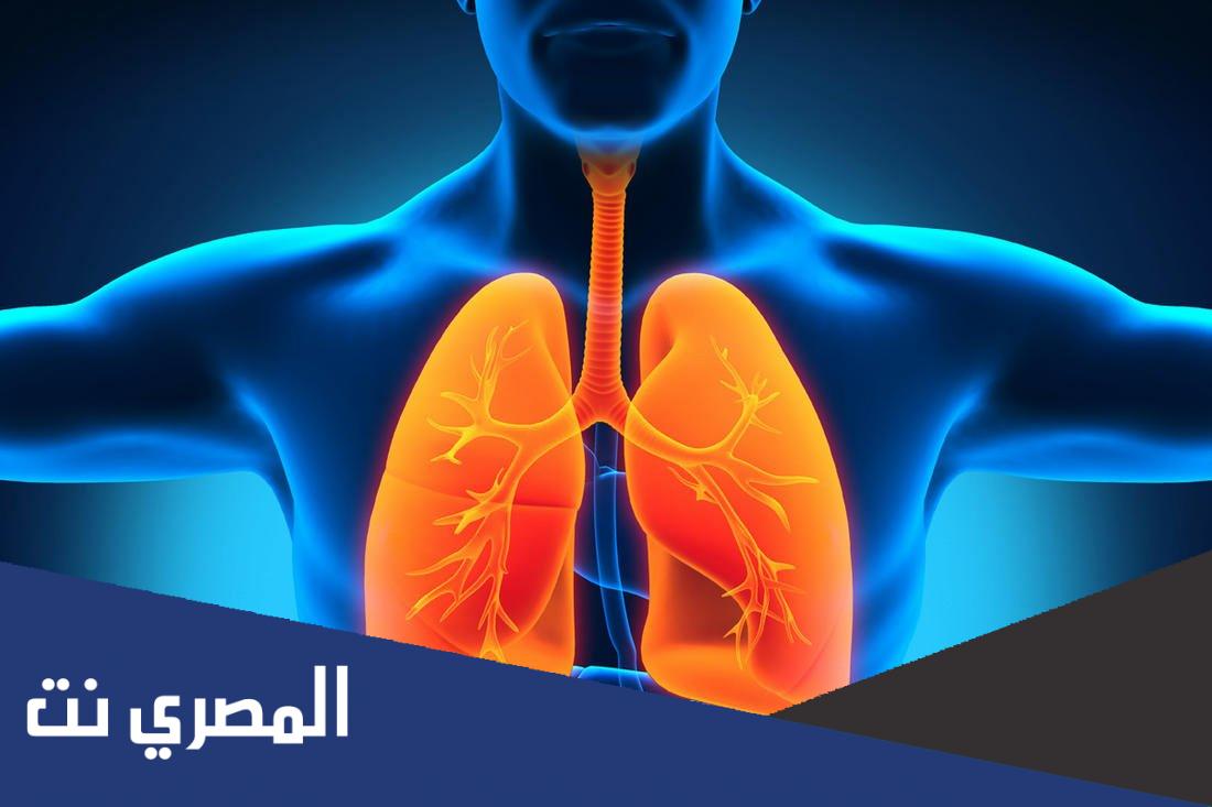 أغذية تحافظ على صحة الجهاز التنفسي