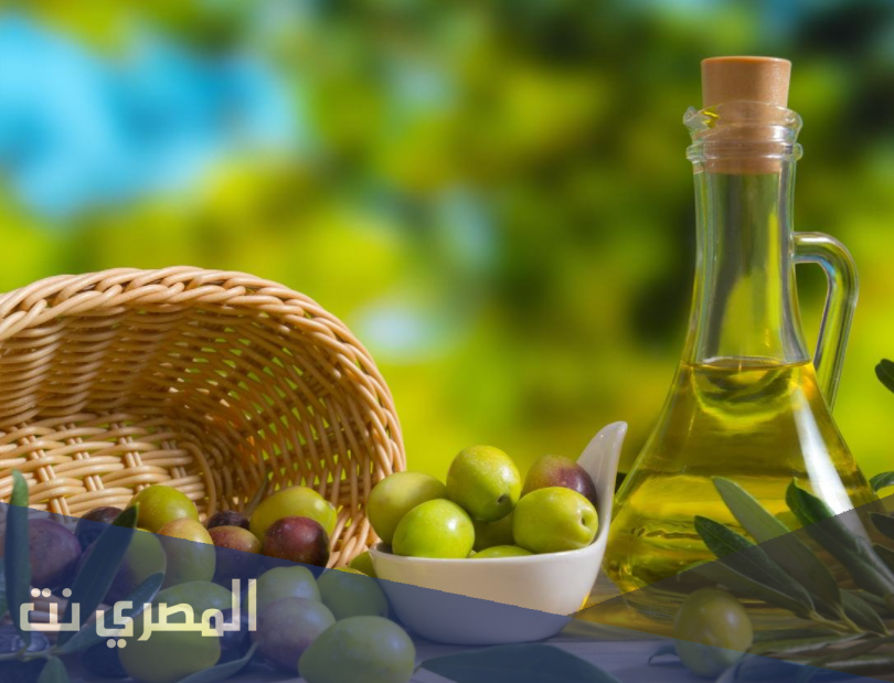 الأهمية الصحية للزيتون