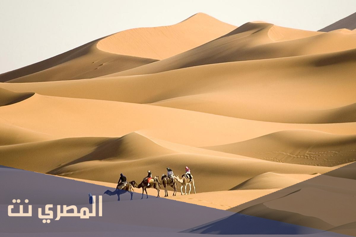 السلمي وش يرجع