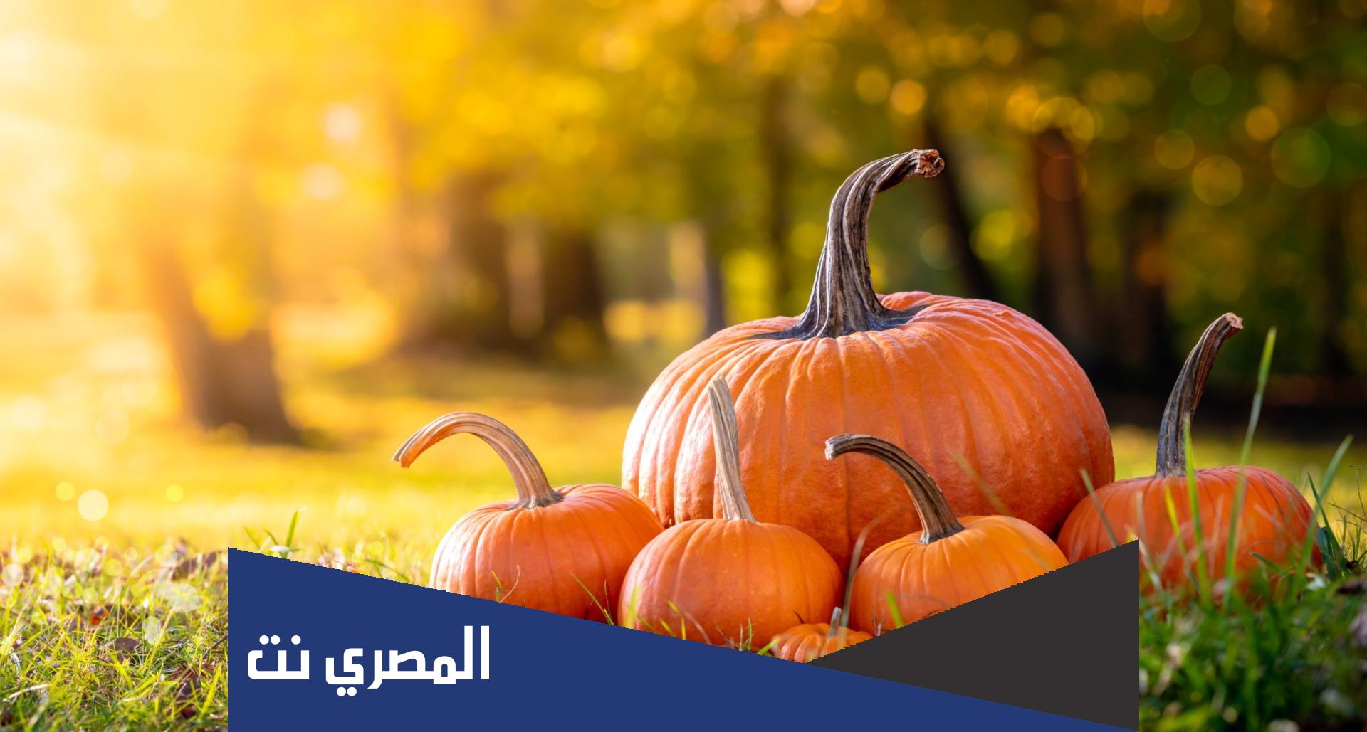 اليقطين وفوائده