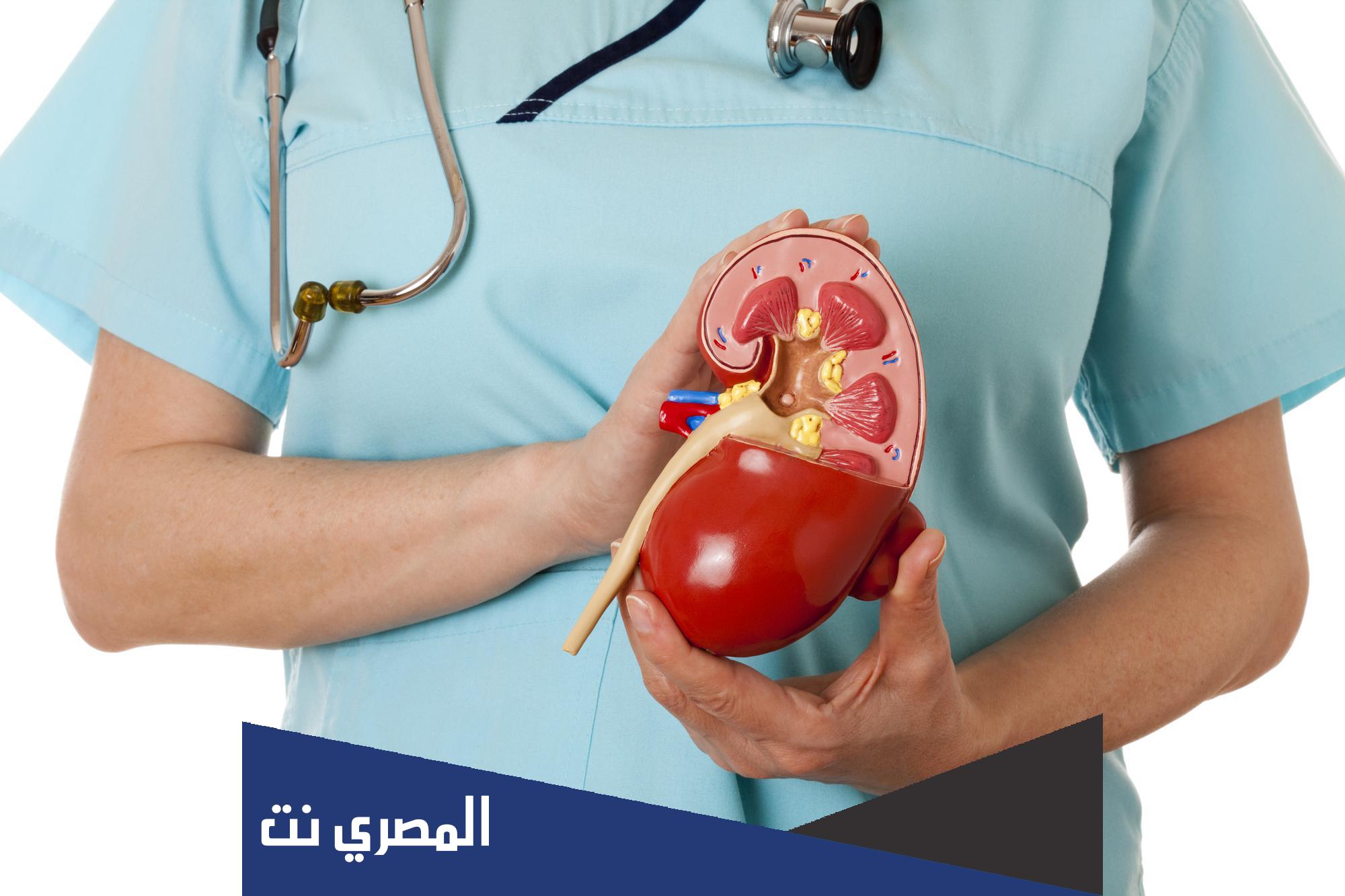 تلوث البيئة وعلاقته بالإصابة بأمراض الكلى
