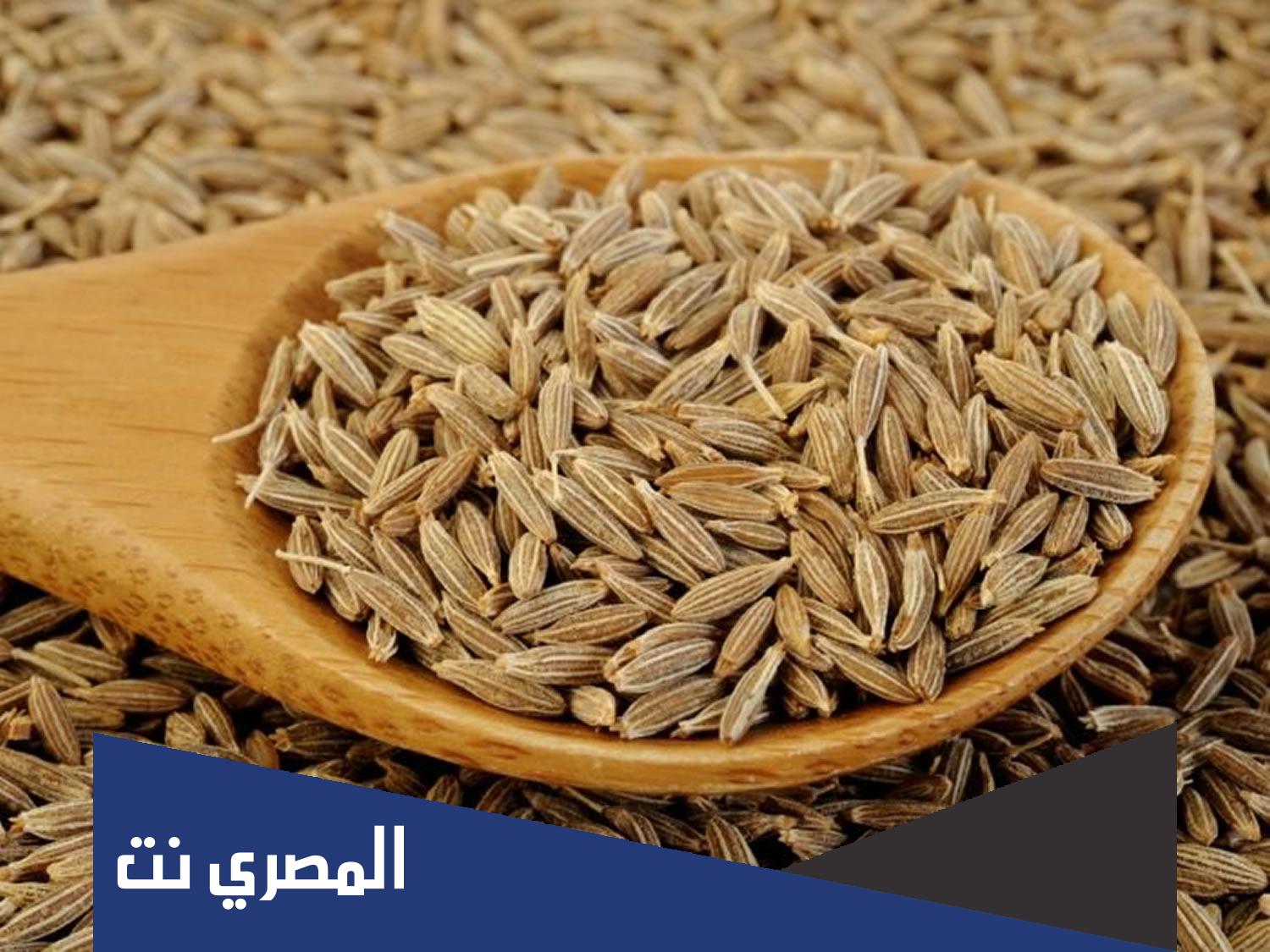 تنشيط المبايض طبيعيًا باليانسون