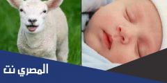 دعاء العقيقة مكتوب