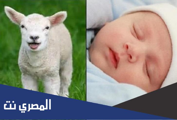 دعاء العقيقة مكتوب
