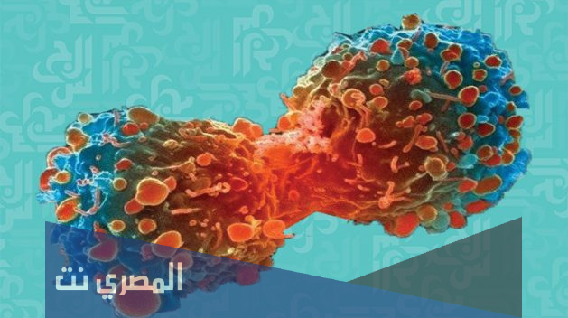 طعامين للوقاية من السرطان
