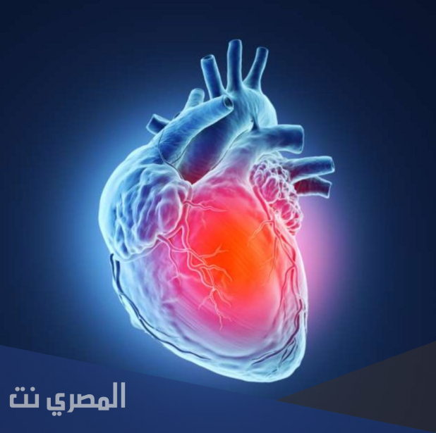علاقة القلب بنقص الغذاء