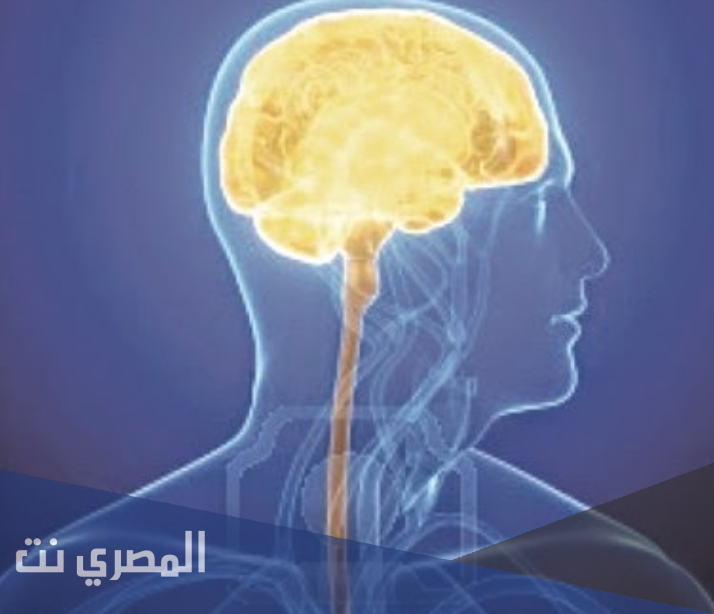 عمل الغدة الدرقية و أهمية اليود