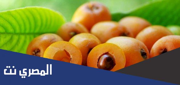 فوائد الاسكدنيا