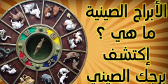 كيفية معرفة البرج الصيني من تاريخ ميلادك