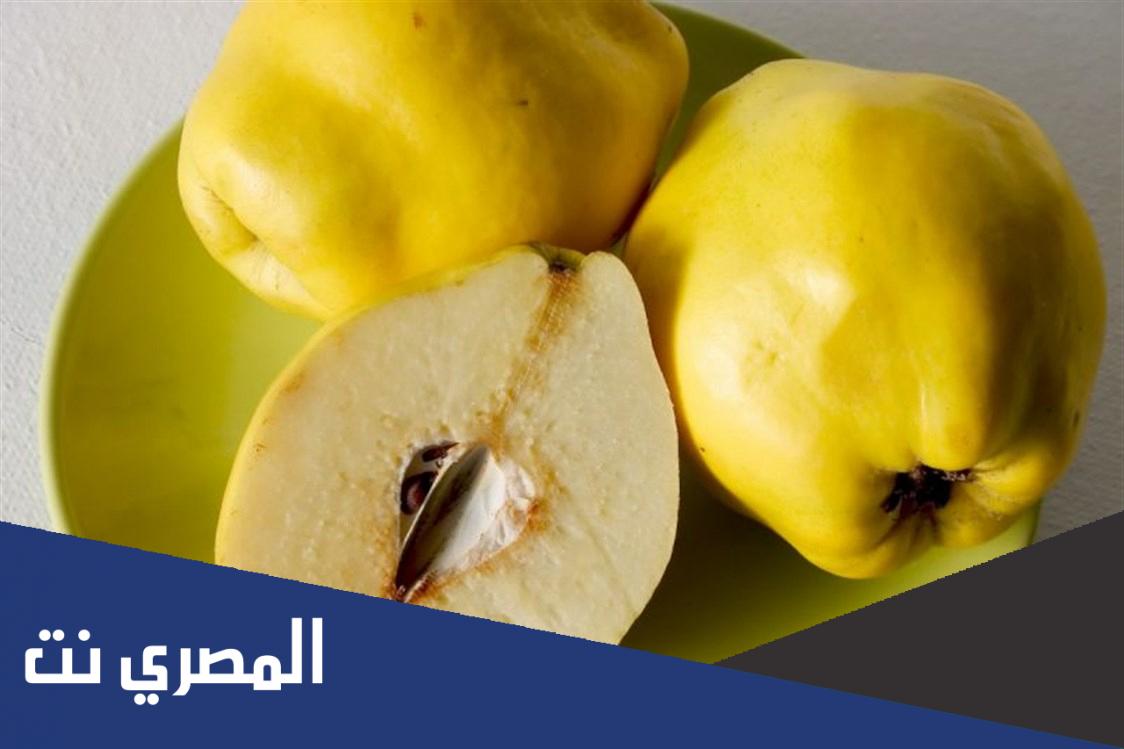 ما هو السفرجل وما هي فوائده