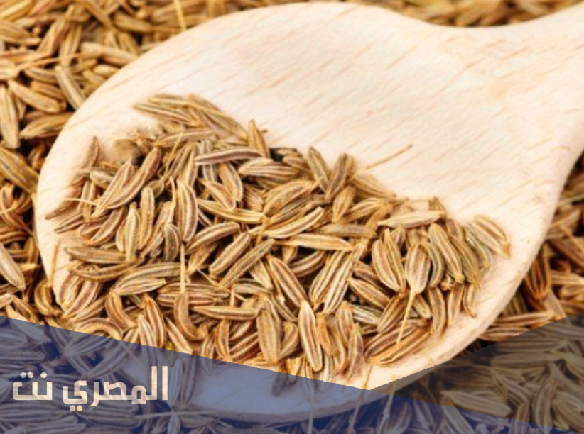 ما هي اضرار اليانسون وقت الدورة