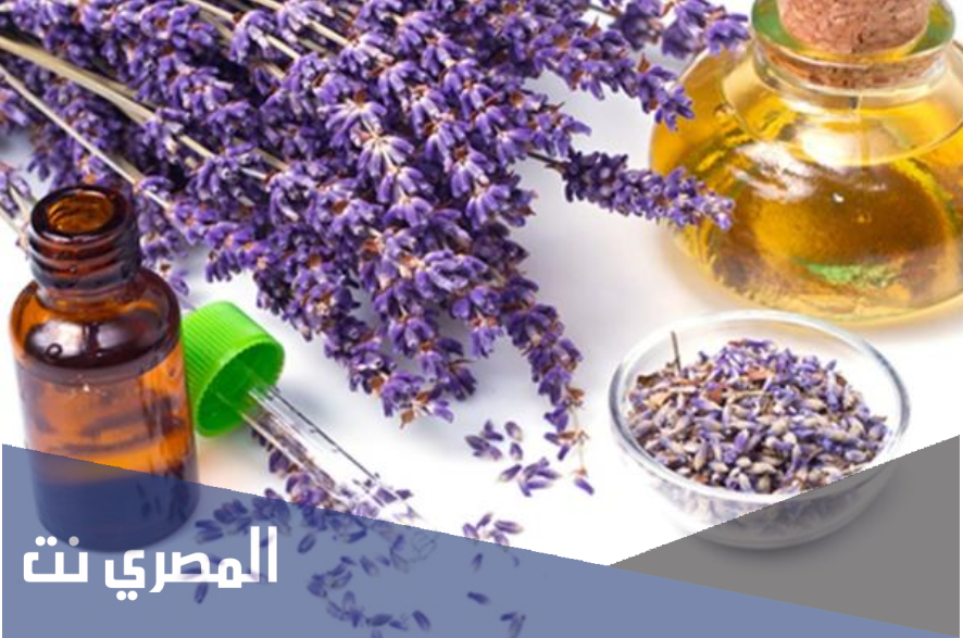 ما هي فوائد الخزامى ؟