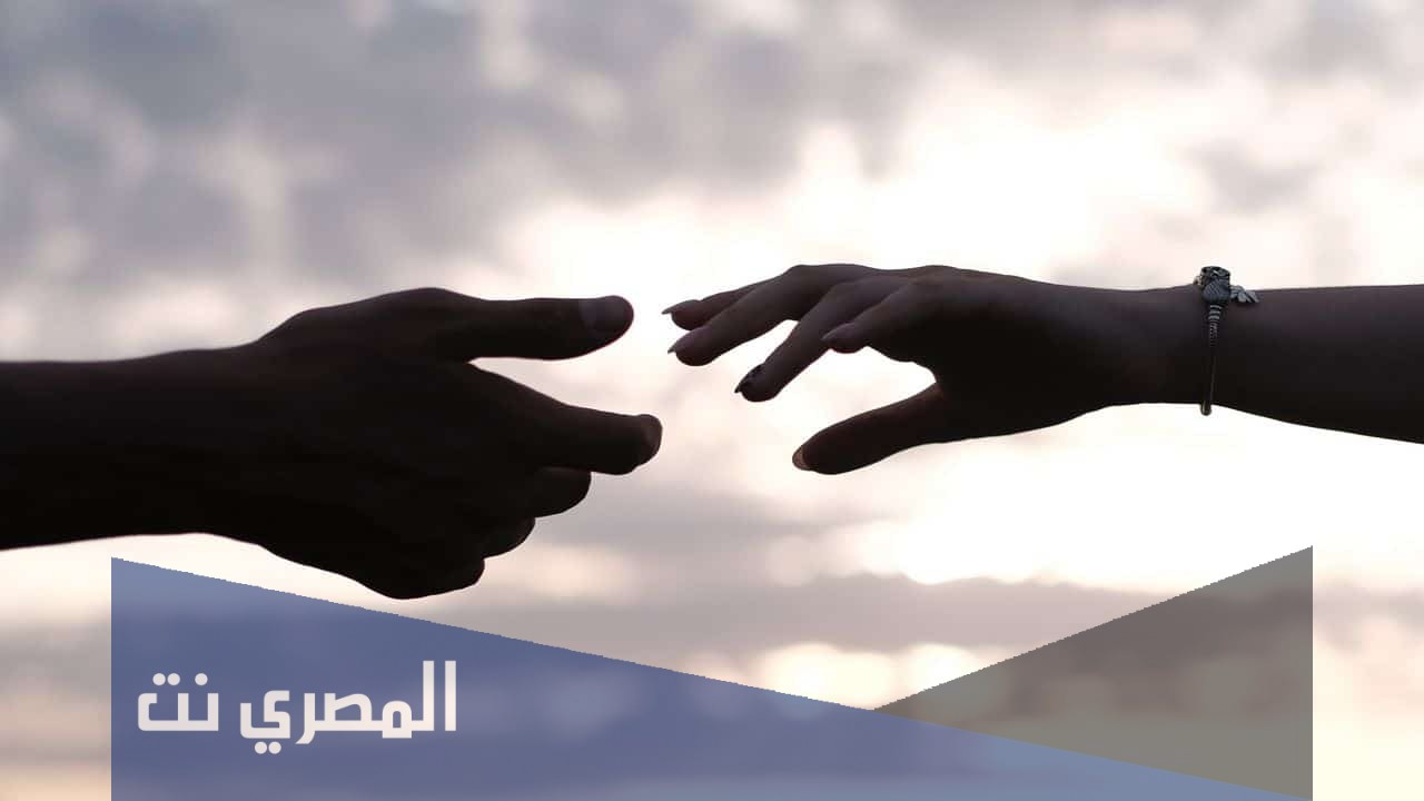 بايسكشوال وش يعني