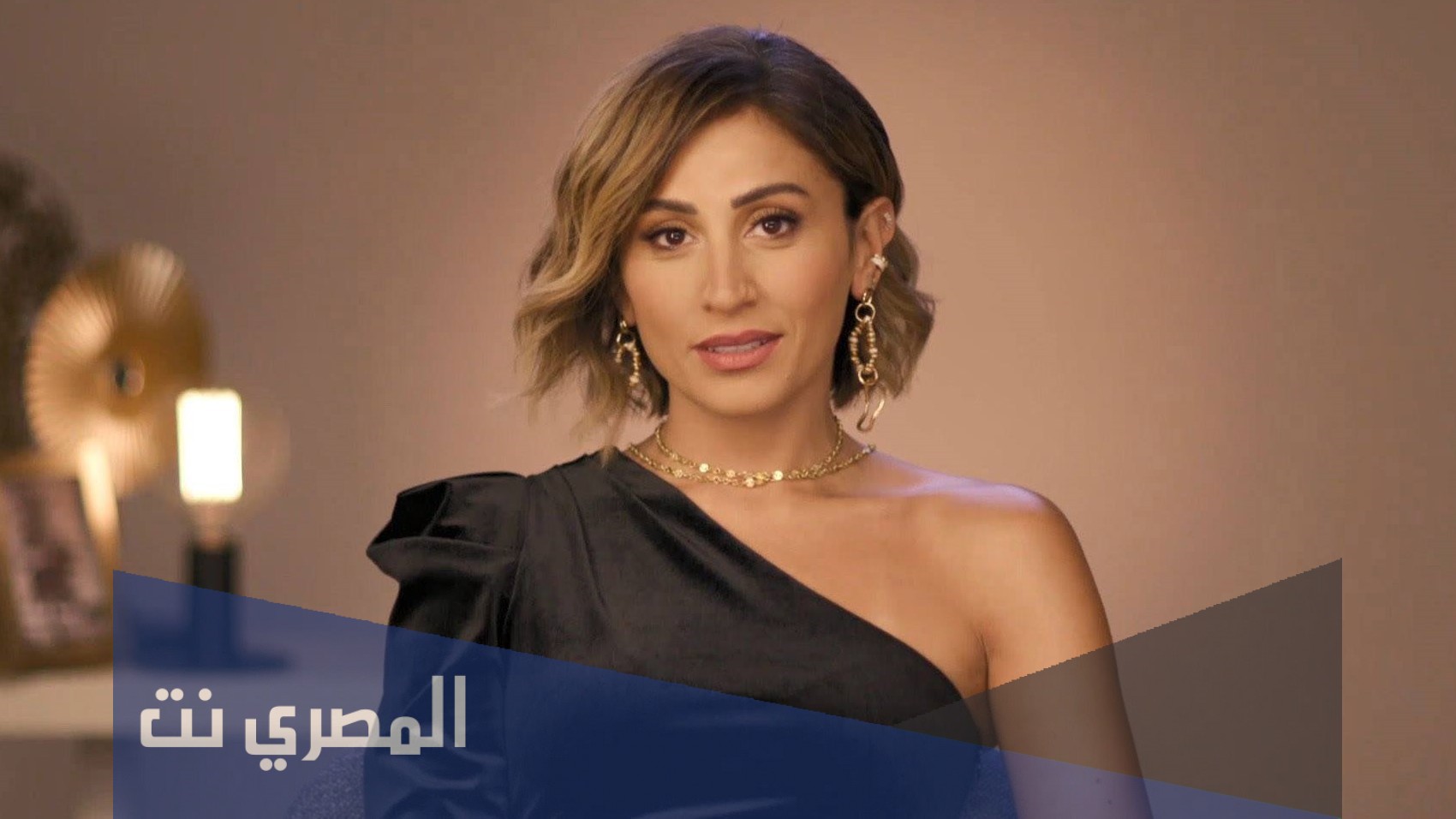 من هي دينا الشربيني ويكيبيديا