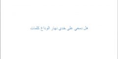 هل دمعي على خدي نهار الوداع كلمات