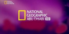 ما هو تردد قناة ناشيونال جيوغرافيك Nat Geo Abu Dhabi