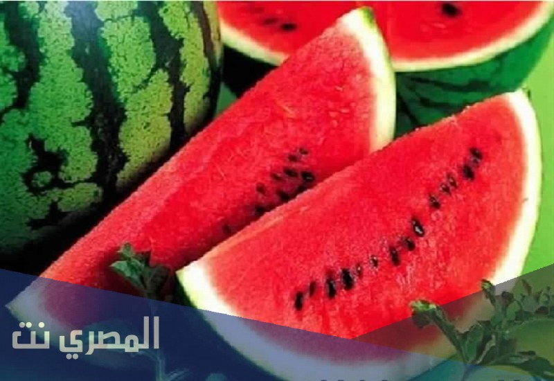 ما هو تفسير البطيخ في المنام