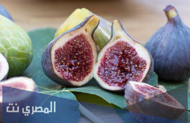 ما هو تفسير التين في المنام