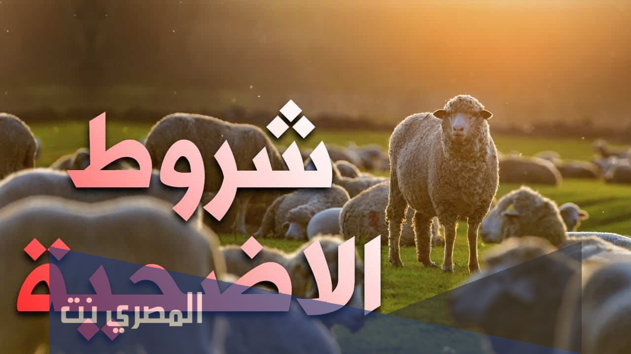 شروط الأضحية والمضحي كاملة
