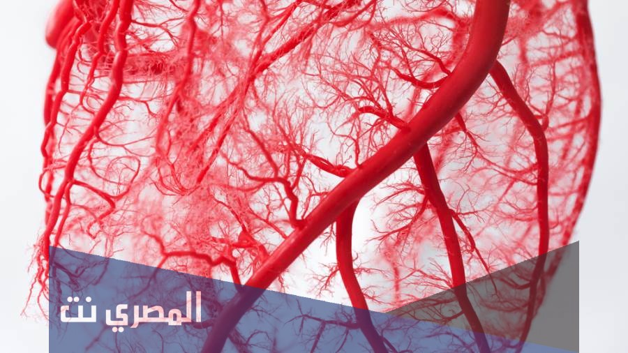 دافركس Dafrex لتقوية الشعيرات الدموية ودعمها