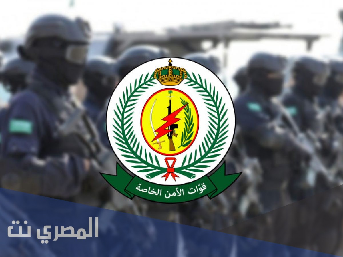 القوات الخاصة للامن والحماية