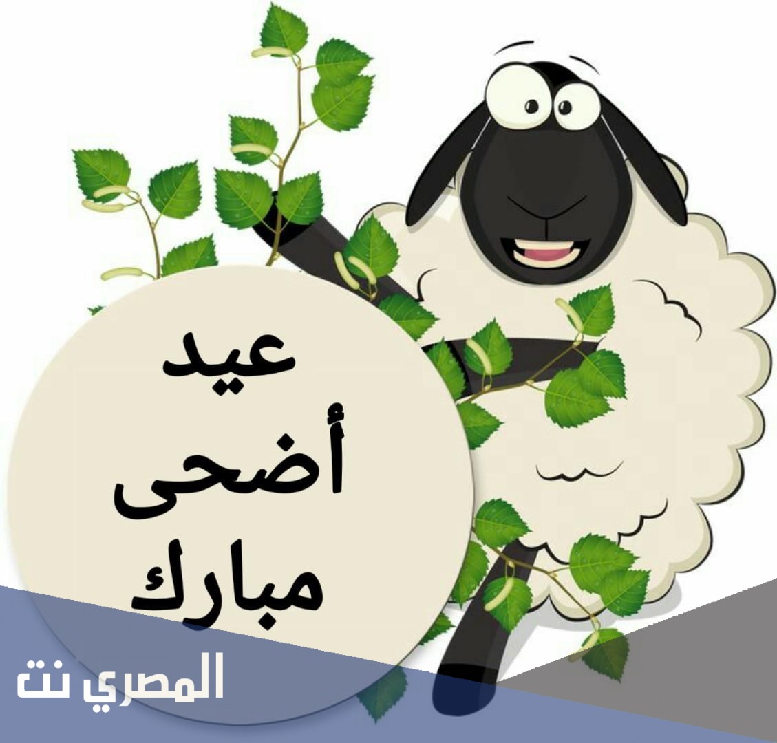 كروت تهنئة بعيد الاضحى المبارك 2021