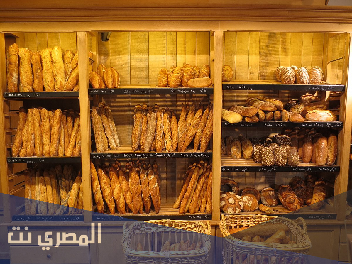 دراسة جدوى واردات الخبز لمطاعم الوجبات السريعة