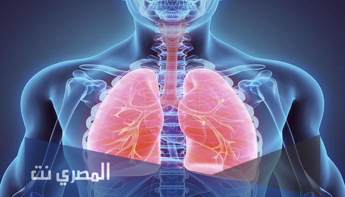 ميوكو اس ار كبسولات Muco SR لعلاج الجهاز التنفسي ونتائجه